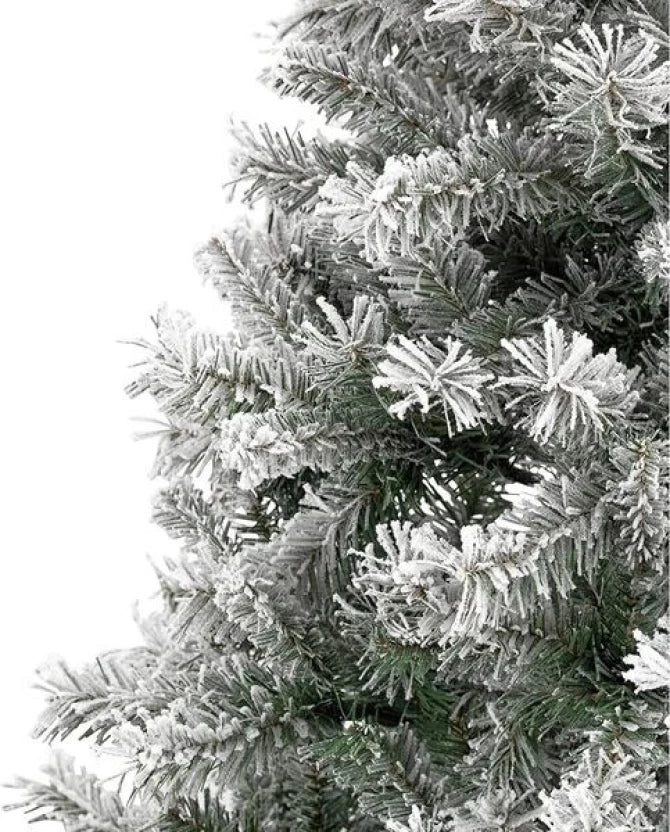 St. Charles 310517 Christmas Tree (Green, White, Cedar, 300 cm)