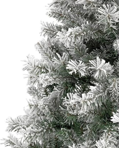 St. Charles 310517 Christmas Tree  (Green, White, Cedar, 300 cm)